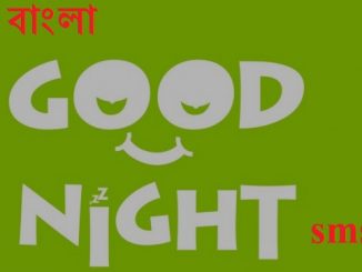 Bangla good night sms