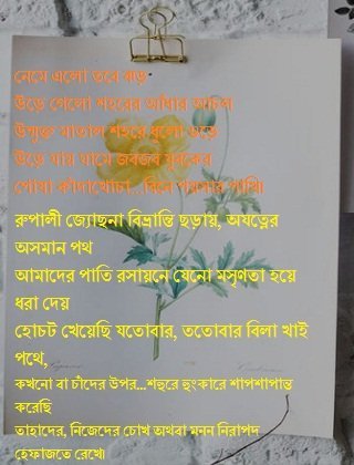 Bangla Facebook status