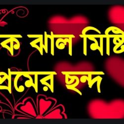 Bengali love Shayari