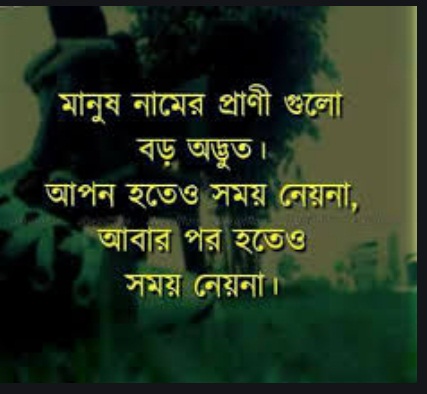 Bengali sad quotes about life