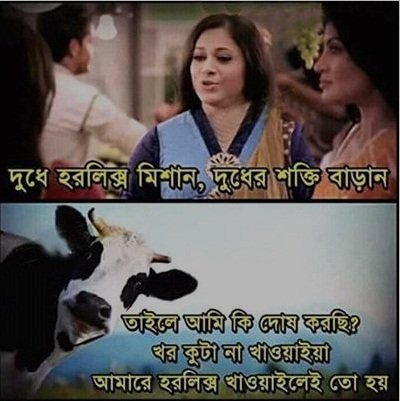 Bangla funny pic