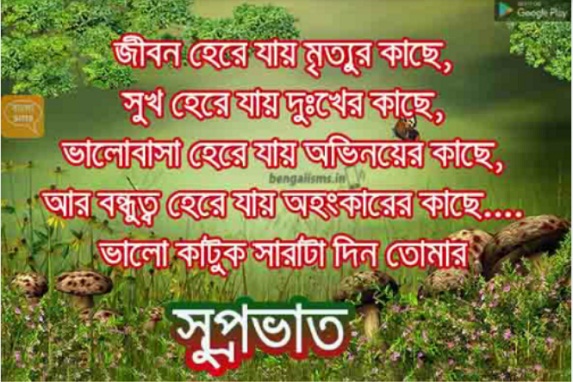 bangla good morning shayari