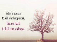 sad shayari in hindi