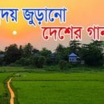 desher gan