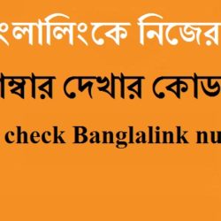 How to check Banglalink number