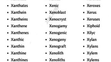 Positive Words That Start With X