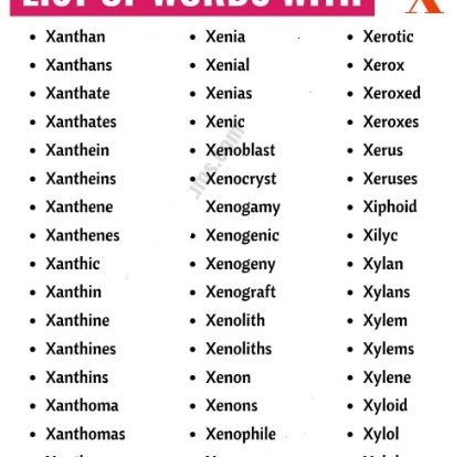 Positive Words That Start With X