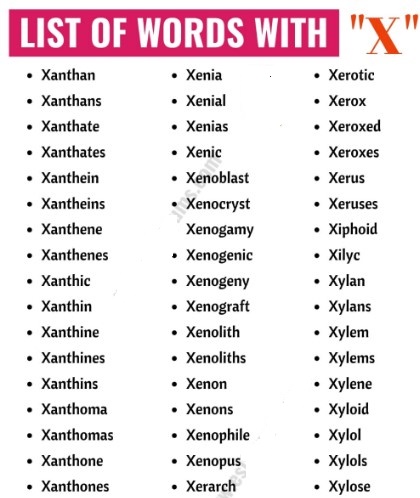 Positive Words That Start With X