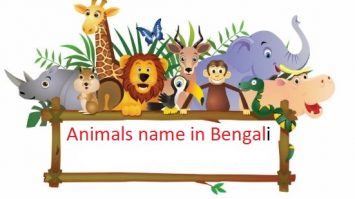 animals name in bengali